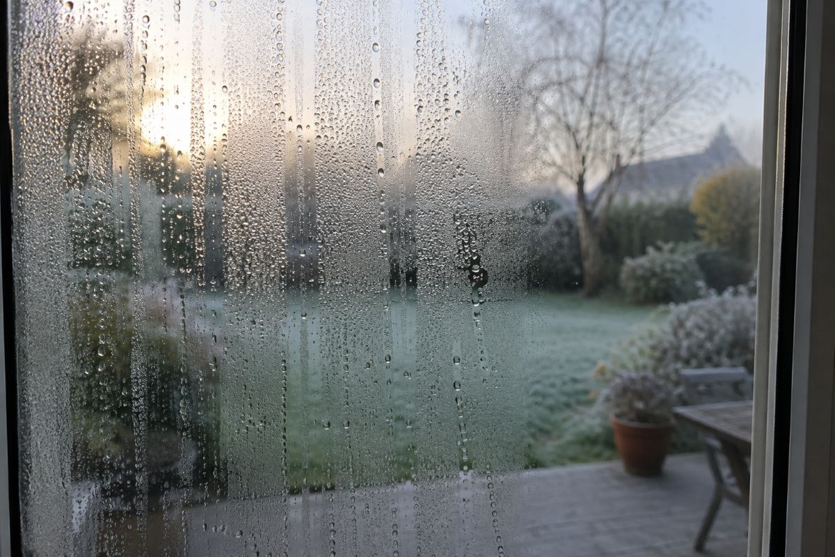 Buée sur un vitrage de terrasse fermée par un matin froid, jardin flou derrière la vitre