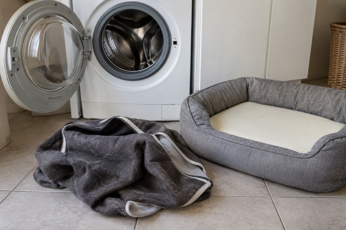 Housse de panier de chien retirée et posée devant un lave-linge ouvert